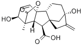 Estructura del ácido gibelerínico